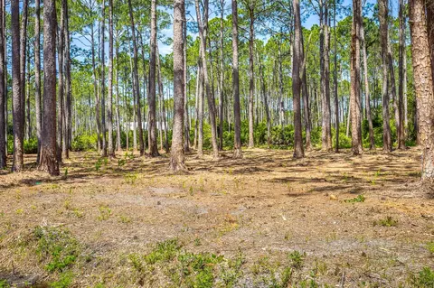2935 E 98 Hwy, Lanark, FL 32323 photo 6