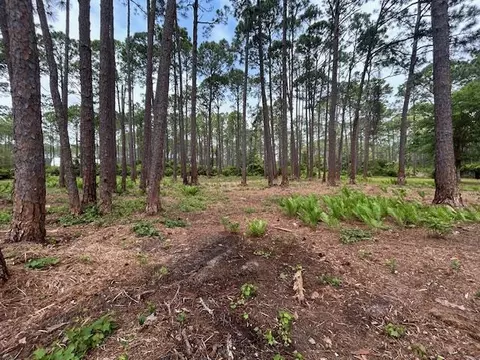 2935 E 98 Hwy, Lanark, FL 32323 photo 8