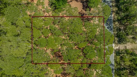 2935 E 98 Hwy, Lanark, FL 32323 photo 5