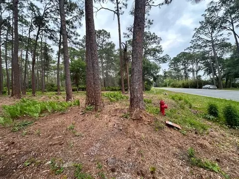 2935 E 98 Hwy, Lanark, FL 32323 photo 9