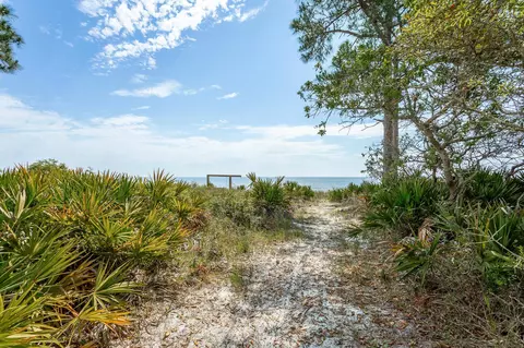 372 Bald Point Rd, Alligator Point, FL 32346 photo 12