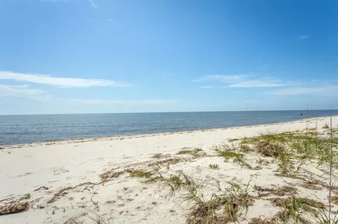 372 Bald Point Rd, Alligator Point, FL 32346 photo 13