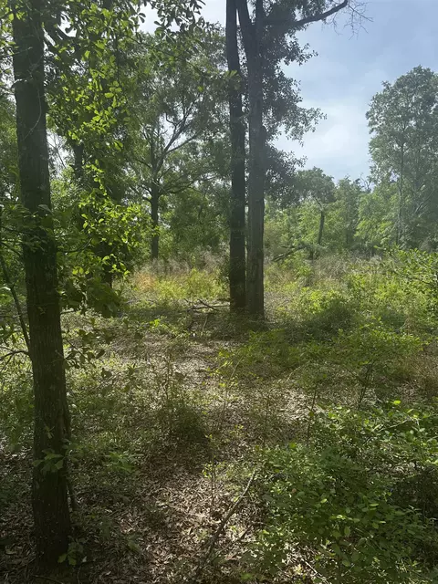 134 NE Tyre Ln, Lee, FL 32059 photo 30