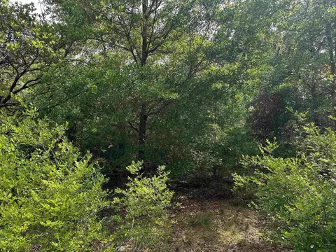 134 NE Tyre Ln, Lee, FL 32059 photo 18