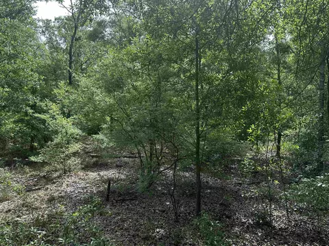 134 NE Tyre Ln, Lee, FL 32059 photo 24