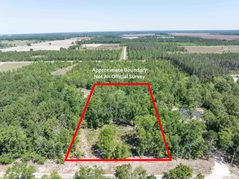 134 NE Tyre Ln, Lee, FL 32059 photo 6
