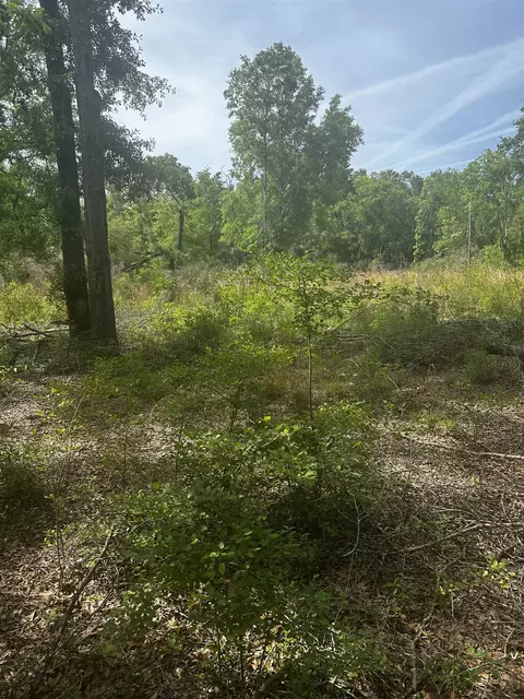 134 NE Tyre Ln, Lee, FL 32059 photo 28
