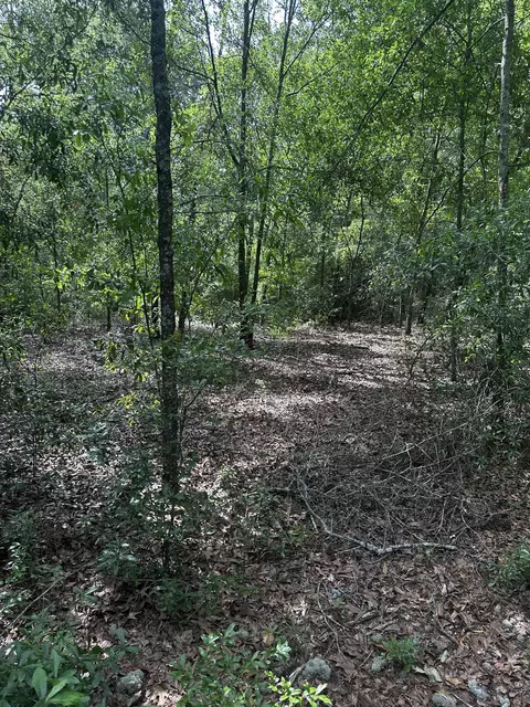 134 NE Tyre Ln, Lee, FL 32059 photo 22