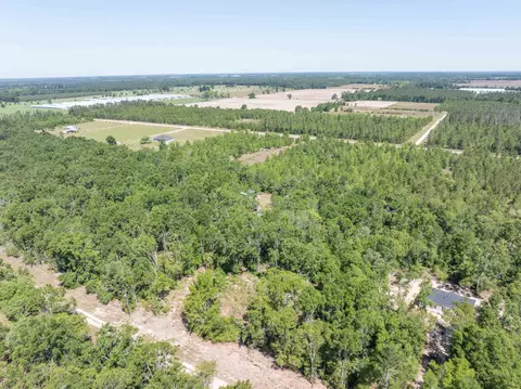 134 NE Tyre Ln, Lee, FL 32059 photo 10