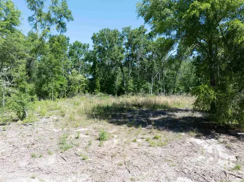 134 NE Tyre Ln, Lee, FL 32059 photo 5