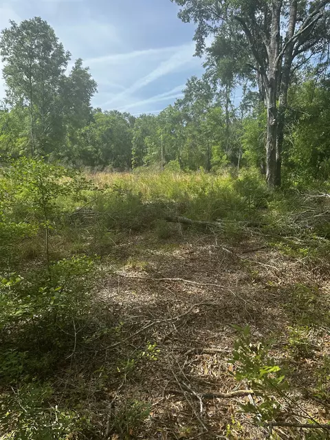 134 NE Tyre Ln, Lee, FL 32059 photo 29