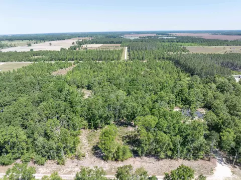 134 NE Tyre Ln, Lee, FL 32059 photo 9