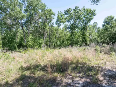 134 NE Tyre Ln, Lee, FL 32059 photo 4