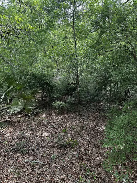134 NE Tyre Ln, Lee, FL 32059 photo 20