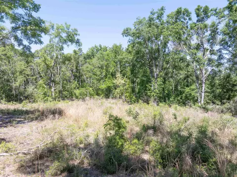 134 NE Tyre Ln, Lee, FL 32059 photo 3