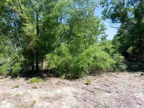 134 NE Tyre Ln, Lee, FL 32059 photo 14