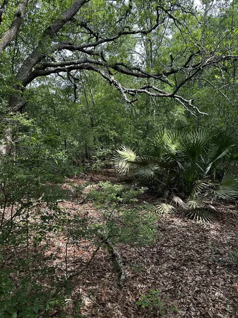 134 NE Tyre Ln, Lee, FL 32059 photo 19