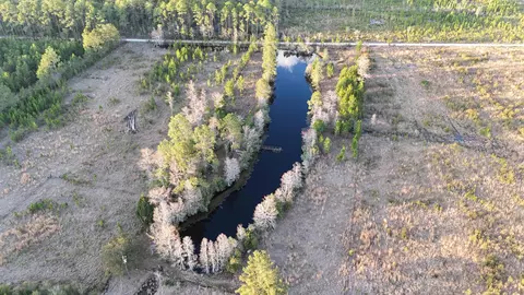 3104 Smith Creek Rd, Sopchoppy, FL 32358