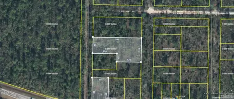 Nnn NW Cr 274 / Compass Lake Avenue, Altha, FL 32438