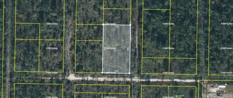 Tbd NW Marianna Lake Avenue, Altha, FL 32438