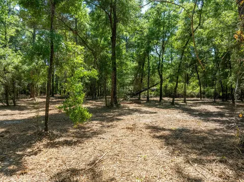 Nn Renee Street, Crawfordville, FL 32327
