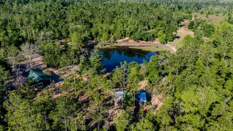 Alfred Shelton Road, Altha, FL 32421