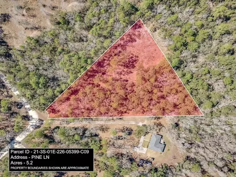 Nn Pine Lane, Crawfordville, FL 32327