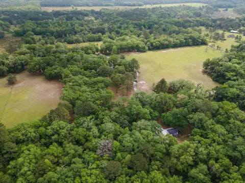 View/Area - 3924 Joel Aman Rd, Perry, FL 32347 photo 6 of 7