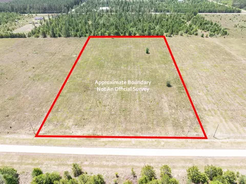 Vacant NE Loblolly Trail, Lee, FL 32059