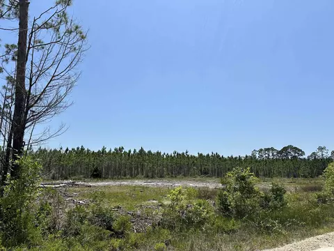 00 Pelican Pl, Perry, FL 32348 photo 6