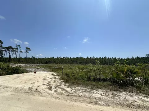00 Pelican Pl, Perry, FL 32348 photo 7