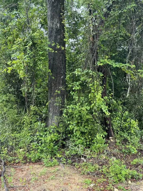 Nn Comanche Trail, Wakulla, FL 32327