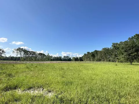 Lot A NE Tarragon Street, Pinetta Madison County, FL 32350