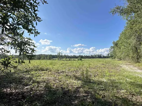 NE Tarragon Street, Pinetta Madison County, FL 32350