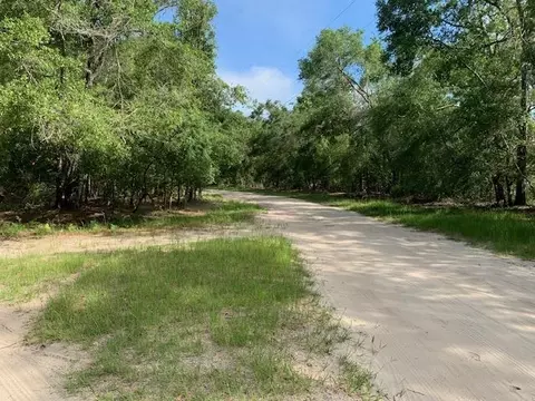Vacant NE Willow Bend Loop, Lee, FL 32059 photo 6