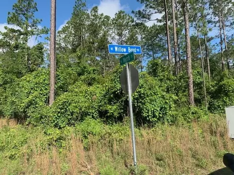 Vacant NE Willow Bend Loop, Lee, FL 32059 photo 4