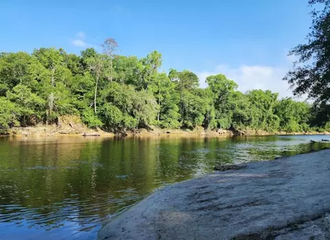 Vacant NE Willow Bend Loop, Lee, FL 32059 photo 13