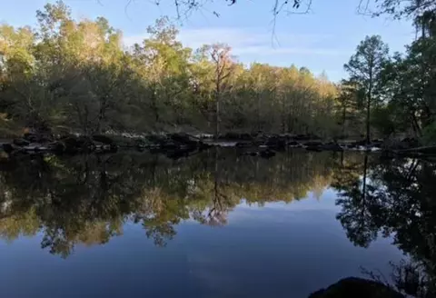 Vacant NE Willow Bend Loop, Lee, FL 32059 photo 9