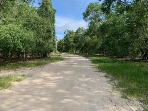 Vacant NE Willow Bend Loop, Lee, FL 32059 photo 5