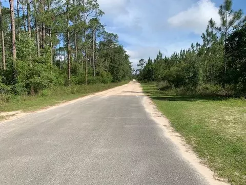 Vacant NE Willow Bend Loop, Lee, FL 32059 photo 7