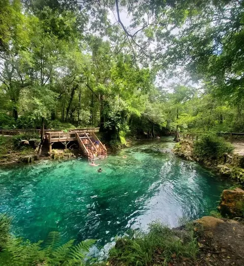 Vacant NE Willow Bend Loop, Lee, FL 32059 photo 10
