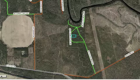Vacant NE Willow Bend Loop, Lee, FL 32059 photo 8