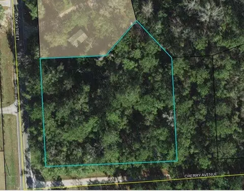 lot1 2 Oak St, Crawfordville, FL 32327
