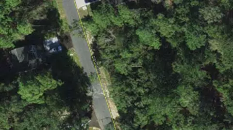Nnn Ted Lott Lane, Crawfordville, FL 32327