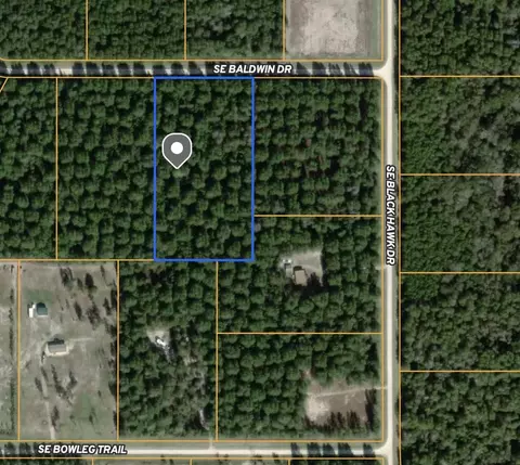 Vacant SE Baldwin Drive, Lee, FL 32059