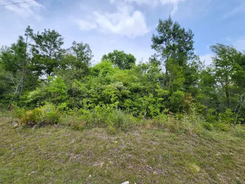 Nn Center Lake Road, Altha, FL 32438