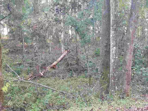 Nnn Frank Pais Road, Havana, FL 32333