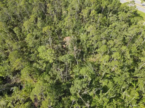 0 W Julia St, Perry, FL 32347