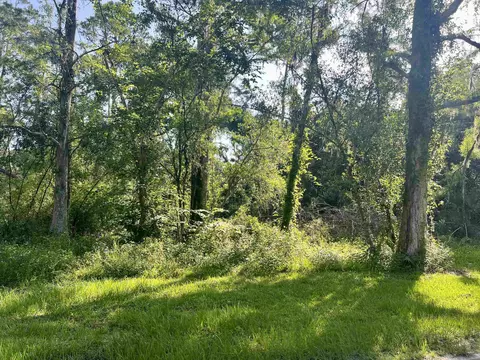 0000 Julia St, Perry, FL 32347 photo 3