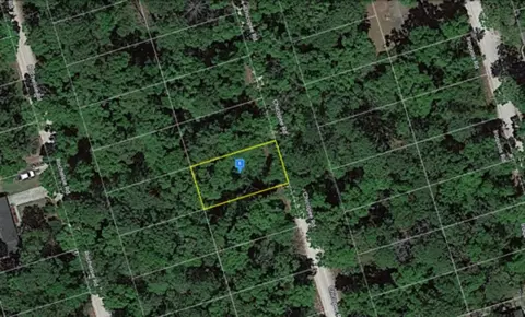Chicopee Road, Crawfordville, FL 32327